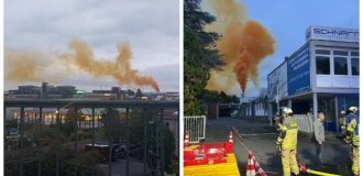 У Німеччині після НП на хімічному заводі отруйна хмара диму заволокло небо (3 фото + 1 відео)