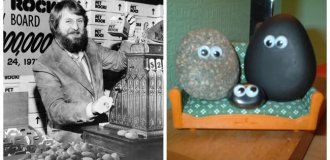 История о том, как бесполезная галька породила безумный тренд и сделала безработного миллионером (12 фото)