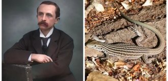 8 реальных фактов, похожих на безумную выдумку (9 фото)