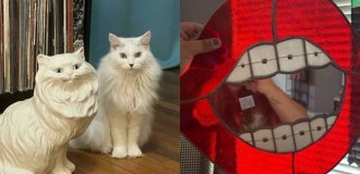22 человека нашли в секонд-хенде то, что не представишь и в самых смелых мечтах (23 фото)
