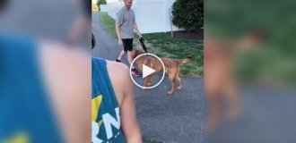 Dog faced a difficult choice