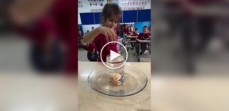Children try to get a tangerine out of a glass of water