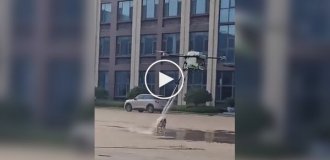 Дрон помыл собаку в Китае