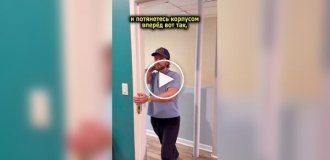 Упражнения при боли в спине