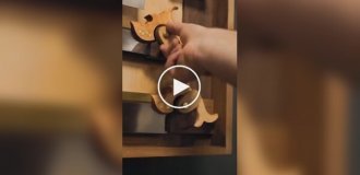 A perfectionist carpenter’s dream: a man rented the perfect cabinet for carpentry