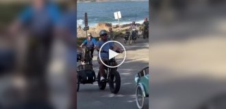 В США устроили велопробег корги в люльках