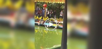 Во Вьетнаме вместо скачек устраивают заплывы обезьян