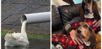 22 Mind-Bending Photos You Have to Look at from Every Angle (23 photos)
