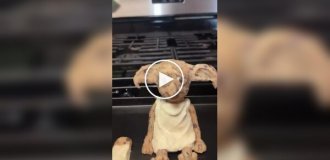 Девушка хотела испечь печенье в виде Добби, но что-то пошло не так