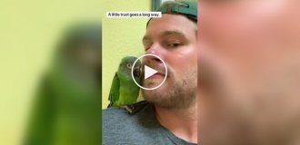 Спасибо большое, что спас меня