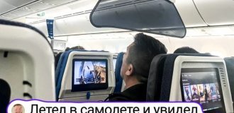 Что за штука: самые странные находки. Выпуск 226
