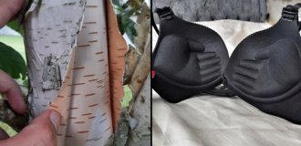 16 поразительных вариантов того, что на самом деле находится внутри предметов и вещей (17 фото)