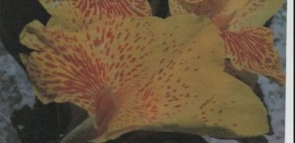 Archive of the Day: Hot Photos of Helena Christensen (6 photos)