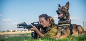 Inside Oketz: How Dogs Serve in the Israeli Military (20 Photos)