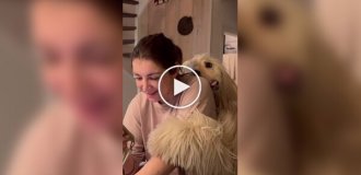 Dog hugs its owner