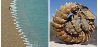 Искусство реальности: 20 фото, которые доказывают, что жизнь — это гениальный режиссёр (21 фото)