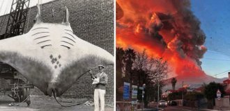 25 фото прошлых лет, которые четко отражают некоторые исторические моменты (26 фото)