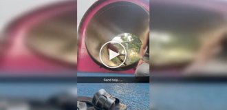 Беговое колесо для человека: легко только на первый взгляд