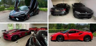 Пристрасть до дорогих автомобілів згубила аптекаря (16 фото)