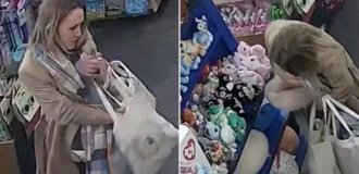 В Великобритании воровка набила штаны мягкими игрушками (5 фото + 1 видео)