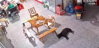 Riddle: what will happen in the house in 10 seconds
