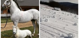 20 фотографий уникальных вещей, которые большинство людей никогда не увидят (21 фото)