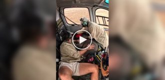 Маленькие пассажиры спасательных рейсов