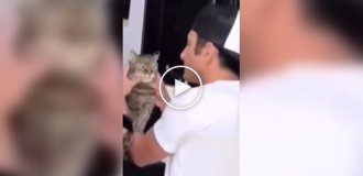 The last cat is also ready