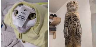 20 фото, которые лечат душу лучше любой терапии (21 фото)