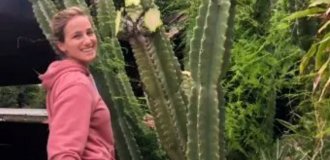 She made money from cacti to buy a motorhome and now rents it out (7 photos + 2 videos)