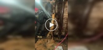 Сантехнический сюрприз