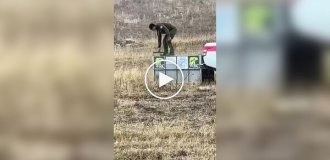 A bear tried to attack its savior