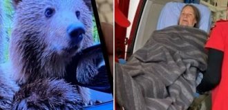In Romania, a tourist was hospitalized after an encounter with a bear (4 photos + 1 video)