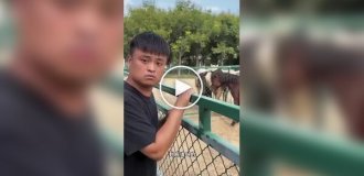 Мастер имитации: Как парень понимает язык животных