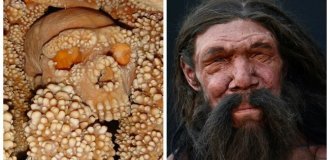 150 000 лет вниз головой: неандерталец, которого земля до сих пор не отпускает (7 фото)
