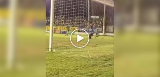 A bottle prevented the ball from getting into the goal