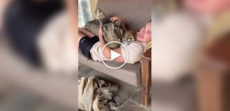 Тимон и Пумба в африканском заповеднике