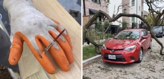 17 случаев, когда удача решила улыбнуться (16 фото)