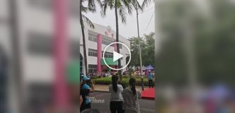 Школярка спритно залізла на пальму