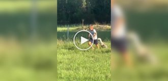 Мальчик против гуся