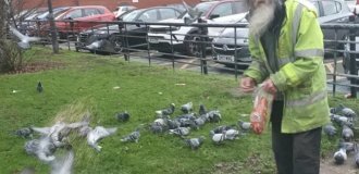 Дедушку приговорили к штрафу за любовь к птичкам и кормление голубей (3 фото)