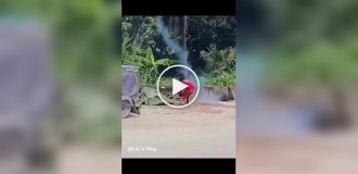 Беги и не оглядывайся!