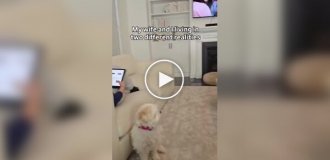 Коли чоловік і дружина живуть у різних реальностях