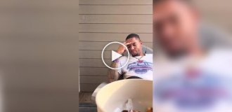 Кот желает выйти