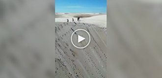 Lençóis Maranhenses National Park in Brazil