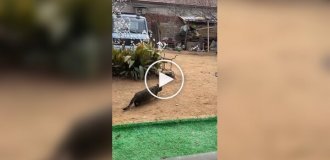 Миссия полностью провалена