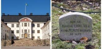 The grave of the dog Pompe - the favorite of the Swedish ruler (8 photos)