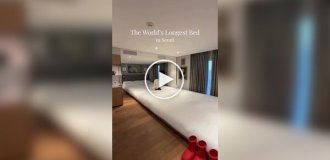 Самая длинная кровать в мире
