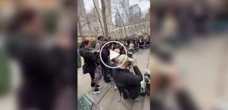 A rare bird appeared in downtown New York