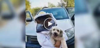 Пчеловоды сделали защитный костюм для своей собаки